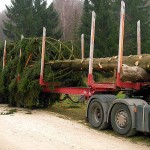 SANYO DIGITAL CAMERA